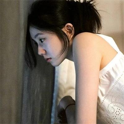 五香宫的猫